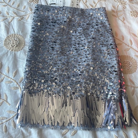 Zara sequins skirt - Picture 2 of 6